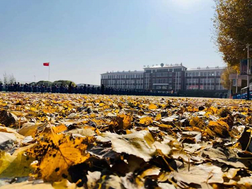 开发区新城实验小学